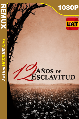 12 años de esclavitud (2013) Latino HD BDREMUX 1080P ()