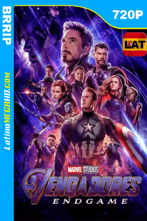 Avengers: Endgame (2019) Latino HD 720P ()