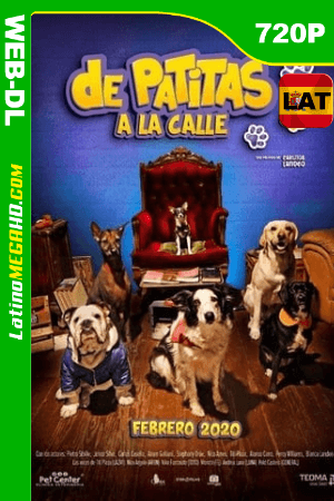 De Patitas a la Calle (2020) Latino HD WEB-DL 720P ()