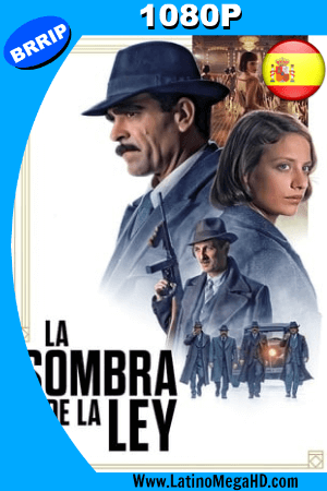 La Sombra De La Ley (2018) Español HD 1080P ()