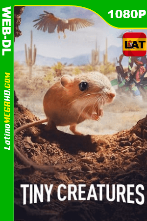 Criaturitas (Serie de TV) (2020) Latino HD WEB-DL 1080P ()