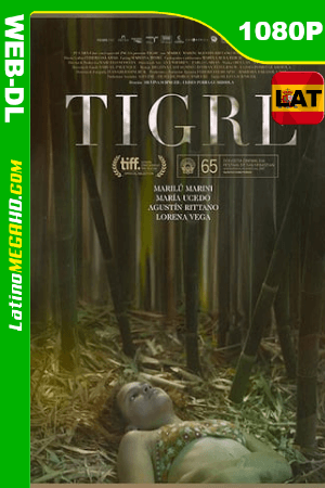 Tigre (2017) Latino HD WEB-DL 1080P ()