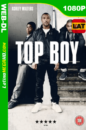 Top Boy (Serie de TV) (2011) Temporada 1 Latino HD WEB-DL 1080P ()