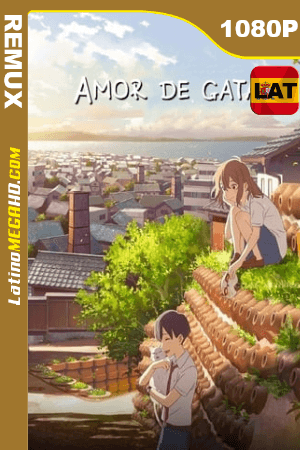 Amor de gata (2020) Latino HD BDRemux 1080P ()