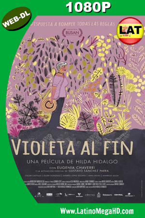 Violeta Al Fin (2017) Latino HD WEBRIP 1080P ()