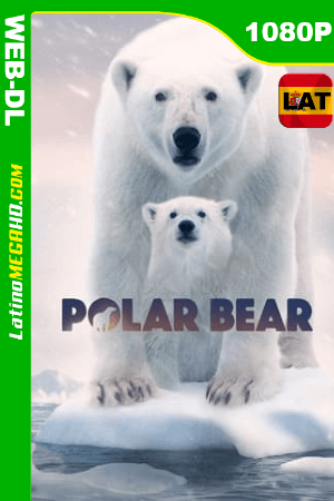 Oso polar (2022) Latino HD DSNP WEB-DL 1080P ()