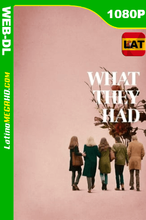 Lo que Fuimos (2018) Latino HD WEB-DL 1080P ()