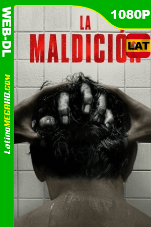 La Maldición (The Grudge) (2020) Latino HD WEB-DL 1080P ()