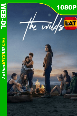 Salvajes (Serie de TV) Temporada 1 (2020) Latino HD AMZN WEB-DL 1080P ()