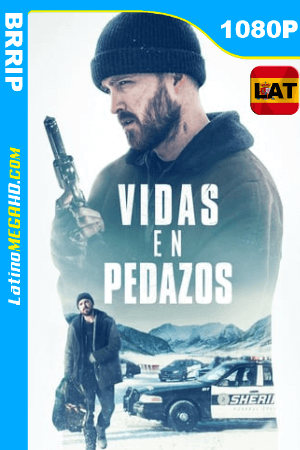 Vidas en Pedazos (2019) Latino HD BRRIP 1080P ()