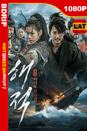 The Pirates (2014) Latino HD BDRIP 1080P ()