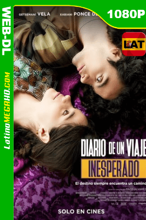 Diario de un viaje inesperado (2023) Latino HD AMZN WEB-DL 1080P ()