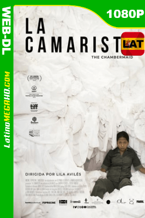 La Camarista (2018) Latino HD WEB-DL 1080p ()