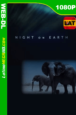 La Tierra de noche (Miniserie de TV) Temporada 1 (2020) Latino HD WEB-DL 1080P ()
