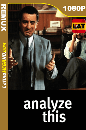 Analízame (1999) Latino HD BDREMUX 1080P ()