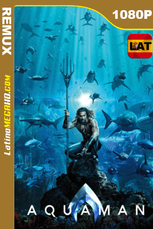 Aquaman (2018) Latino HD IMAX BDREMUX 1080P ()