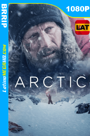 Ártico (2018) Latino HD 1080P ()