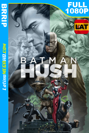Batman: Hush (2019) Latino FULL HD 1080P ()