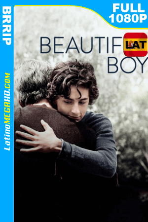 Beautiful Boy: Siempre Serás mi Hijo (2018) Latino FULL HD 1080P ()