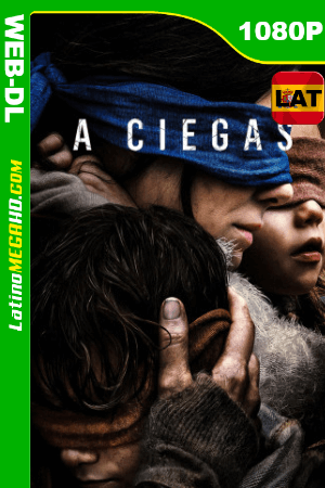 A ciegas (2018) Latino HD WEB-DL 1080P ()