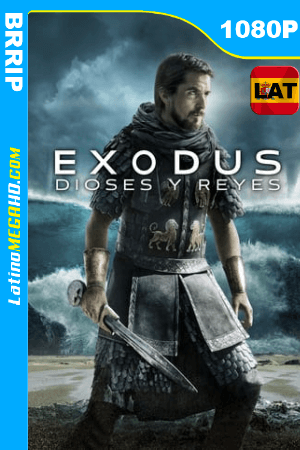 Éxodo: Dioses y Reyes (2014) Latino HD 1080P ()