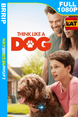 Think Like a Dog (2020) Latino HD 1080P ()