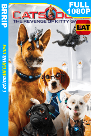 Como Perros y Gatos 2: La venganza de Kitty Galore (2010) Latino HD BRRIP 1080P ()