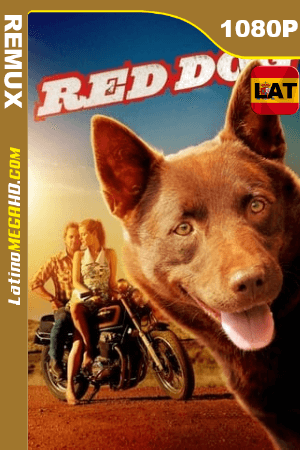 Las aventuras del perro rojo (2011) Latino HD BDREMUX 1080p ()
