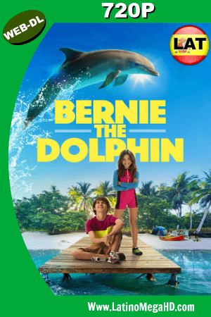 Bernie El delfín (2018) Latino HD WEB-DL 720P ()