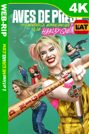 Aves de Presa (y la Fantabulosa Emancipación de Harley Quinn) (2020) Latino WEB-DL 2160P ()