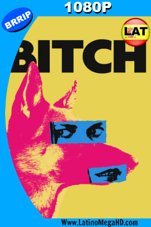 Bitch (2017) Latino HD 1080P ()