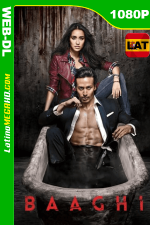 Baaghi (2016) Latino HD WEB-DL 1080P ()