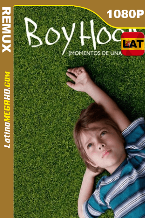 Boyhood: momentos de una vida (2014) Latino HD BDREMUX 1080P ()