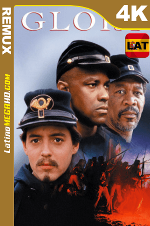 Tiempos de gloria (1989) Latino HD BDRemux 4K ()