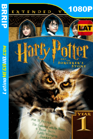 Harry Potter y la piedra filosofal (2001) Extended Latino HD BRRIP 1080P ()