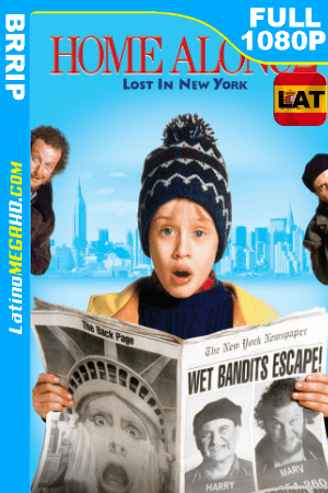 Mi pobre angelito 2: Perdido en Nueva York (1992) Latino HD 1080P ()