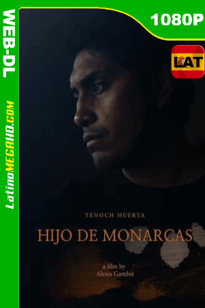 Hijo de monarcas (2020) Latino HD HMAX WEB-DL 1080P ()