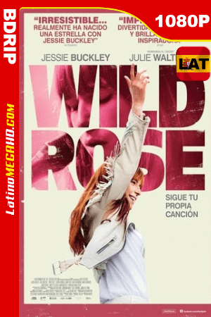 Wild Rose: Sigue tu Propia Canción (2018) Latino HD BDRIP 1080P ()