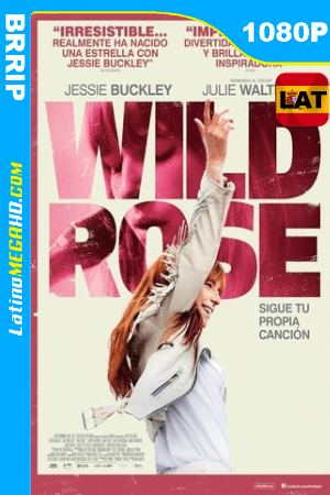 Wild Rose: Sigue tu propia canción (2018) Latino HD 1080P ()