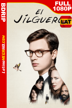 EL Jilguero (2019) Latino Full HD BDRIP 1080p - 2019