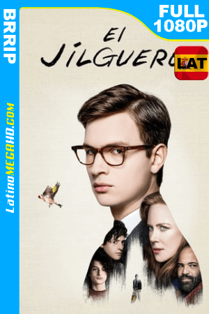 EL Jilguero (2019) Latino Full HD 1080p ()