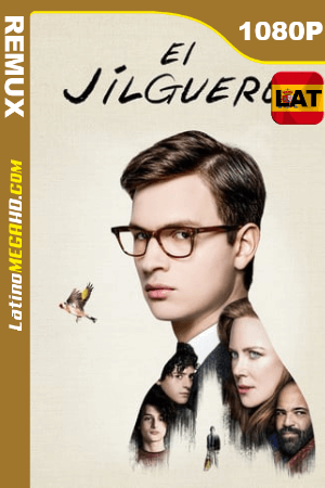 EL Jilguero (2019) Latino HD BDREMUX 1080p ()