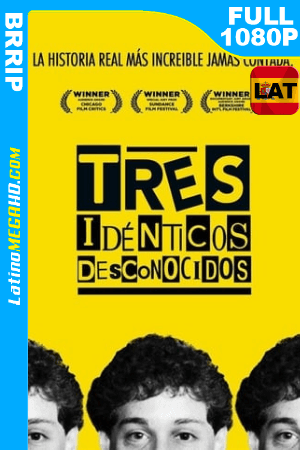 Tres Idénticos Desconocidos (2018) Latino FULL HD 1080P ()