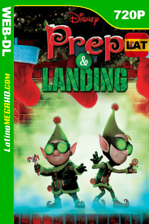 Lanny y Wayne, los elfos navideños: Escuadrón de Navidad (2009) Latino HD WEB-DL 720P ()