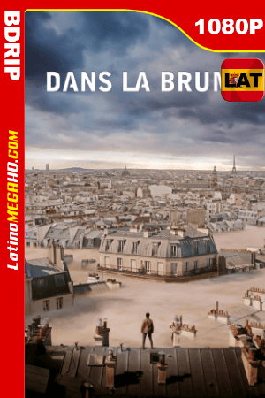 Desastre en París (2018) Latino HD BDRip 1080P ()