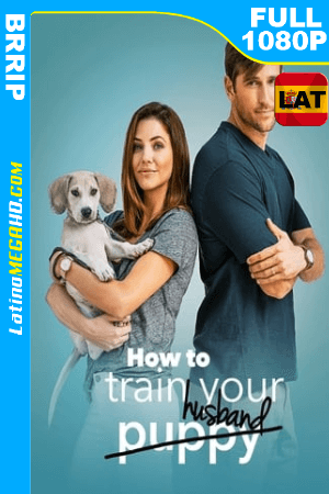 How to Train Your Husband (2018) Latino HD 1080P ()