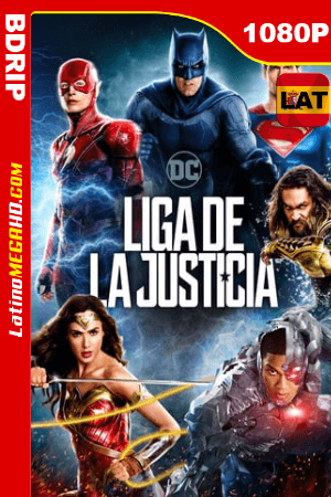 Liga de la Justicia (2017) Latino HD BDRip 1080P ()