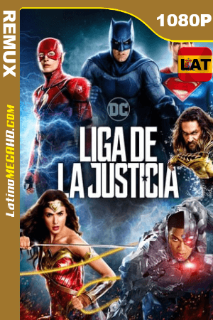 Liga de la Justicia (2017) Latino HD BDRemux 1080P ()