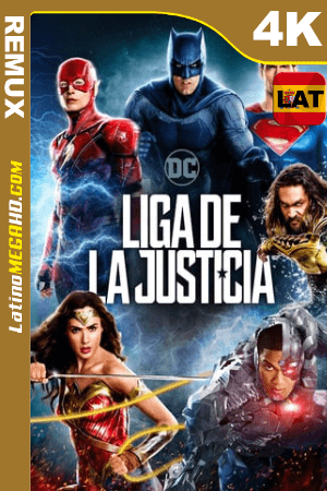 Liga de la Justicia (2017) Latino HDR Ultra HD BDRemux 2160P ()