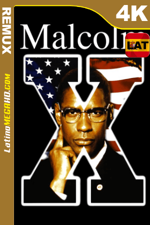 Malcolm X (1992) Latino UltraHD BDREMUX 2160p ()